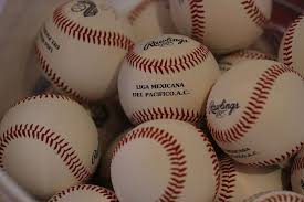 Are You A Baseball Novice? Give This A Read!