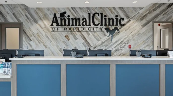 How To Choose The Right Animal Clinic For Your Pet’s Needs Animal Clinic