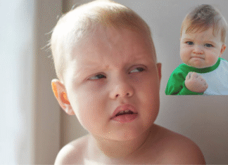Baby Meme: Understanding the Viral Trend that Melts Hearts Baby Meme
